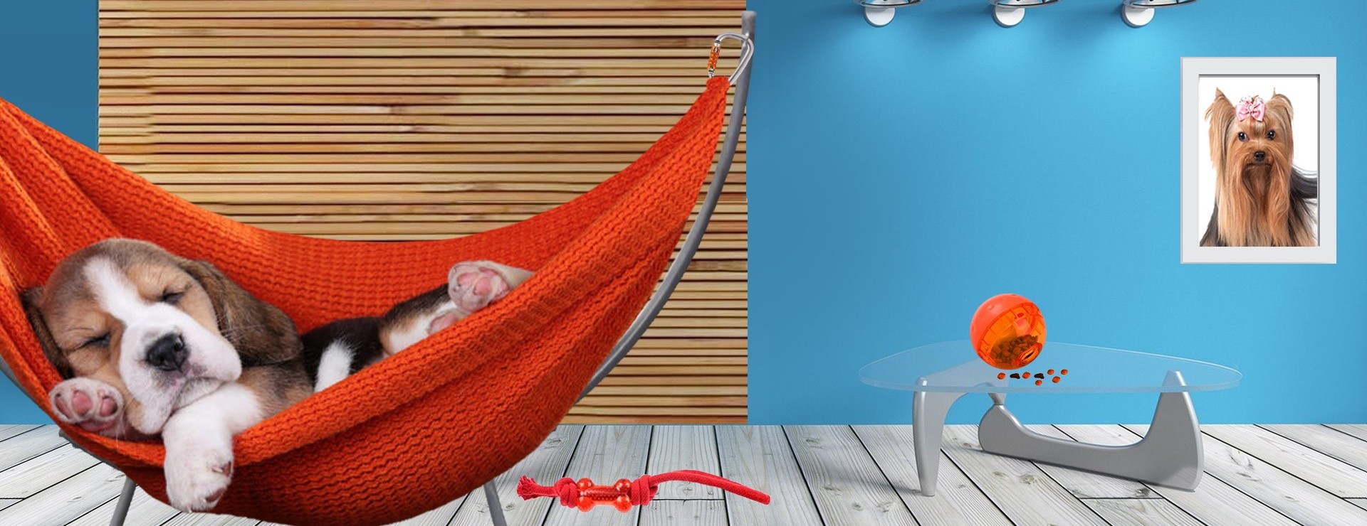 Lazy dog resting in a Dog hammock